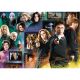 TREFL Puzzle Harry Potter Wizarding world 10668 - 1.000 delova - 103733-10668