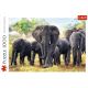 TREFL Puzzle - African elephants - 1.000 delova - 103743-T10442