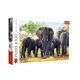 Puzzle 1000 afrički slonovi - EP3023600