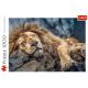TREFL Puzzle Sleeping lion 10447 - 1.000 delova - 103744-10447