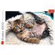 TREFL Puzzle Happy kitty 10448 - 1.000 delova - 103745-10448