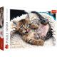 TREFL Puzzle Happy kitty 10448 - 1.000 delova - 103745-10448