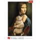 TREFL Puzzle Lady with a cat 10663 - 1.000 delova - 103756-10663