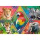 TREFL Puzzle - Exotic Animals - 1.000 delova - 103758-T10671