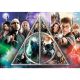 TREFL Puzzle Harry Potter Deathly Hallows 10717 - 1.000 delova - 103769-10717
