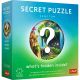 TREFL Puzzle Secret Puzzle: Sanctum 12104 - 1.000 delova - 10379972-12104