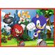 TREFL Puzzle Sonic 4u1 - 54, 48, 35, 70 delova - 103839-34625