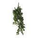DEKOR DOM Cvet SYNGONIUM 54cm 1074947 - Green - EDL - EP2626352