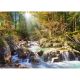 CASTORLAND Puzzle Sunny Forest Stream - 2000 delova - 109731-1