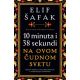 10 minuta i 38 sekundi na ovom čudnom svetu - 9788652138517