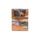 Kreativni set Iskopaj dinosaurusa c8 - 11-23078