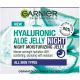 Garnier Skin Naturals Hyaluronic Aloe Jelly noćni hidrantni gel - 1100008715