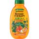 GARNIER Botanic Therapy KIDS Šampon i balzam za kosu, Apricot 2u1, 250 ml - 1100014499
