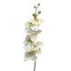 DEKOR DOM Cvet 78cm Orchid, krem - 040039-1