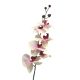 DEKOR DOM Cvet 78cm Orchid, krem/lila - 040040-1