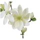 ATMOSPHERA Dekorativni cvet magnolia 25x13x79cm pes/plastika/metal bela - 116021