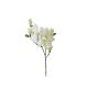 ATMOSPHERA Dekorativni cvet magnolia 25x13x79cm pes/plastika/metal bela - 116021