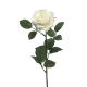 DEKOR DOM Cvet 64cm Rosa Dijon, bela - 040043