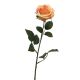 DEKOR DOM Cvet 64cm Rosa Dijon, breskva - 040044