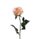 DEKOR DOM Cvet 64cm Rosa Dijon, krem/pink - 040045-1