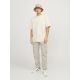 JACK & JONES Muške pantalone noah - EP3149979