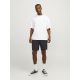 JACK & JONES Muški šorts stace - EP3111882
