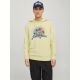 JACK & JONES Muška dukserica summer - EP3124305