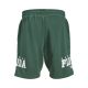 JACK & JONES Muški šorts cory - EP3142859
