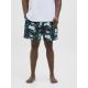 JACK & JONES Muški šorts maui - EP3142763