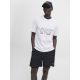 JACK & JONES Muška majica amsterdam - EP3048788