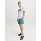 JACK & JONES Muški šorts maui - EP3070231