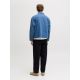 JACK & JONES Muške pantalone evan - EP3273345