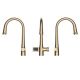 ALPOK Touchless Pro Slavina zlatna - EP3027135