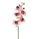 DEKOR DOM Cvet 58cm Orchid, pink - 040051