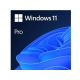 Microsoft Windows 11 Pro 64bit Eng Intl OEM DSP DVD FQC-10528 (24H2) - FQC-10528(24H2)