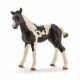 Schleich Pinto zdrebe - 13803-1