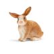 SCHLEICH Zec - 13827