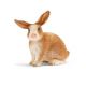 SCHLEICH Zec - 13827