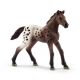 Schleich Appaloosa zdrebe - 13862