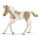 Schleich Paint konj zdrebe - 13886