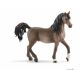 SCHLEICH Arabian pastuv - 13907