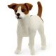 Schleich Jack Rusell Terrier - 13916