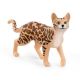 Schleich Bengalska macka - 13918