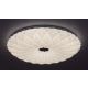 RABALUX Plafonjera Primrose LED 48W - 1426-1-1