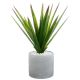 ATMOSPHERA Aloe vera u saksiji 44x47cm siva - 145025