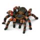 SCHLEICH Tarantula - 14829