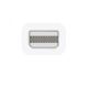 APPLE Thunderbolt to FireWire Adapter (md464zm/a) - 156853