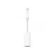 APPLE Thunderbolt to FireWire Adapter (md464zm/a) - 156853