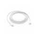 APPLE Kabl USB-C, 2m - 156972