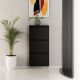 HANAH HOME Cipelarnik Metal, crna - EP3056535